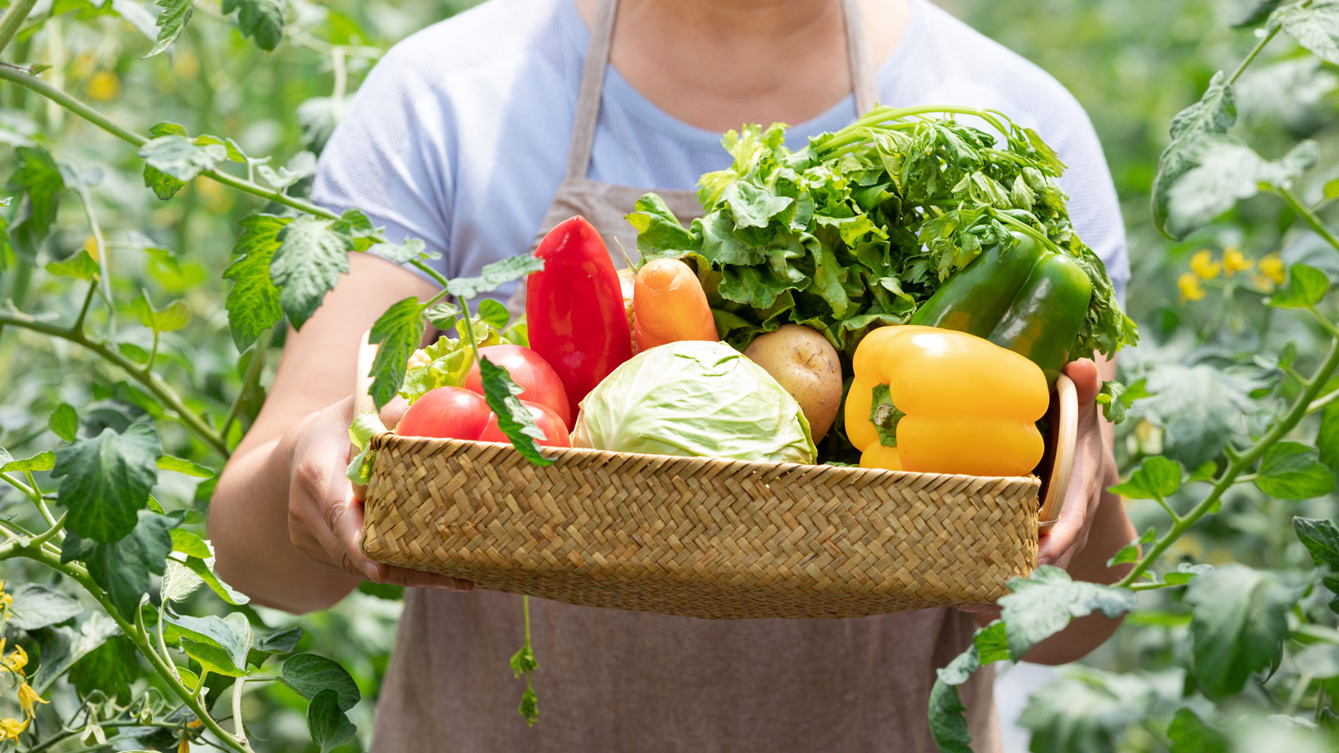 广东会vip贵宾厅(集团)官方网站