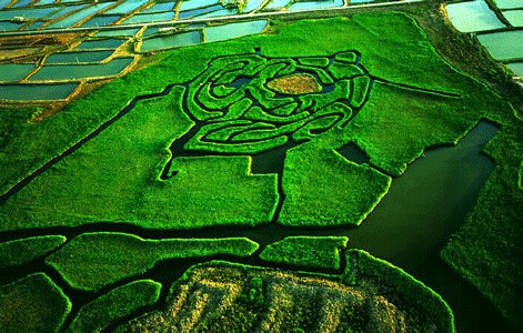 广东会vip贵宾厅(集团)官方网站